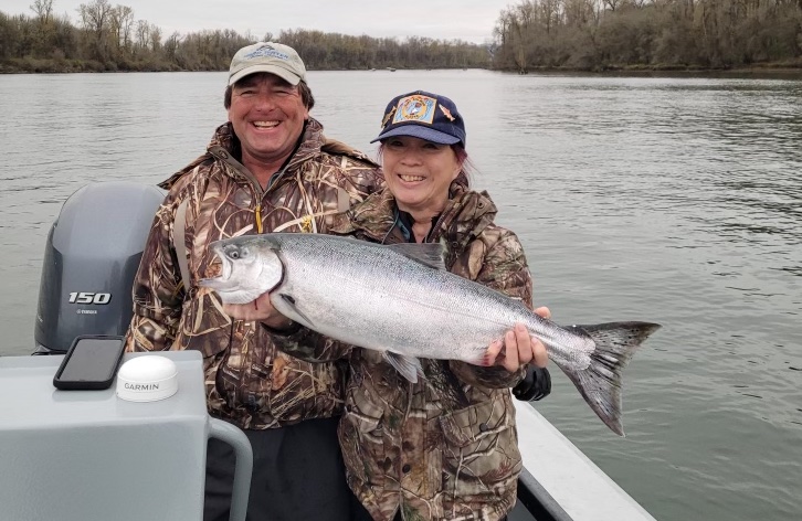 photo of salmon caught on a guided fishing trip